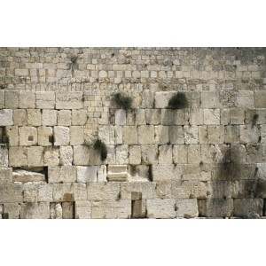 The  Jerusalem Western Wall, Kotel