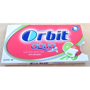 Chewing gum sans sucre Menthe