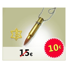 Army gun bullet M16  (Tzahal) paratrooper